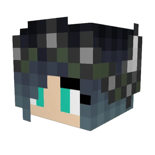 RegaliaNight09 Minecraft avatar head, 3D render