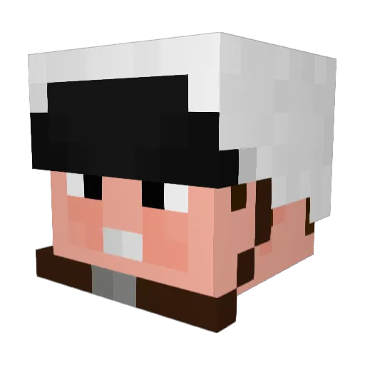 ReganDaKnight Minecraft avatar head, 3D render