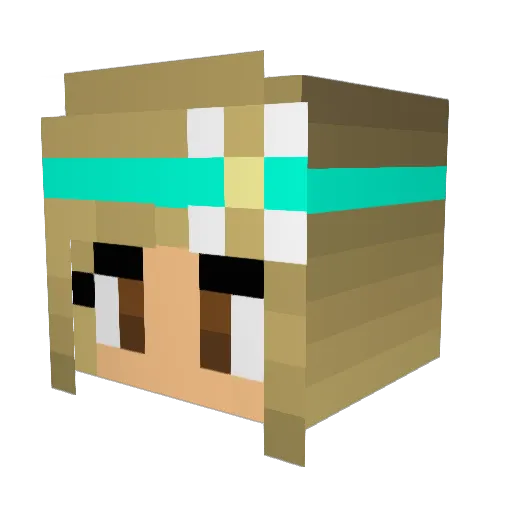 ReganKelly Minecraft avatar head, 3D render
