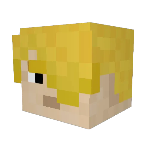 Reganator13 Minecraft avatar head, 3D render