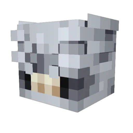Reganiguess Minecraft avatar head, 3D render