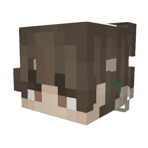 Reganox5 Minecraft avatar head, 3D render