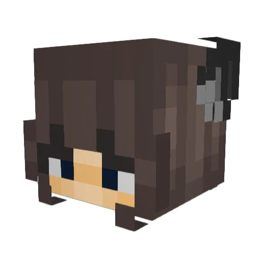 RegardLex Minecraft avatar head, 3D render