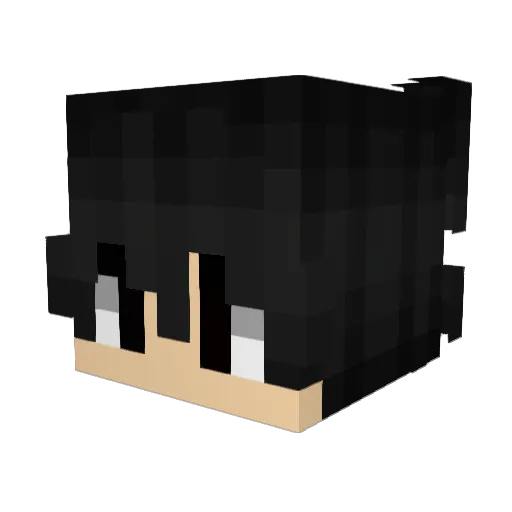 Regates Minecraft avatar head, 3D render