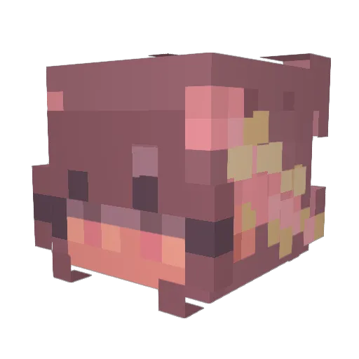 Regect Minecraft avatar head, 3D render