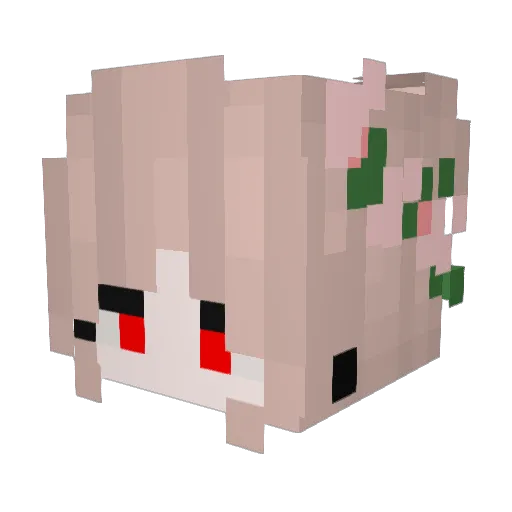 Regelschwester Minecraft avatar head, 3D render