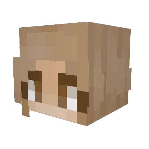 RegenZwerg Minecraft avatar head, 3D render