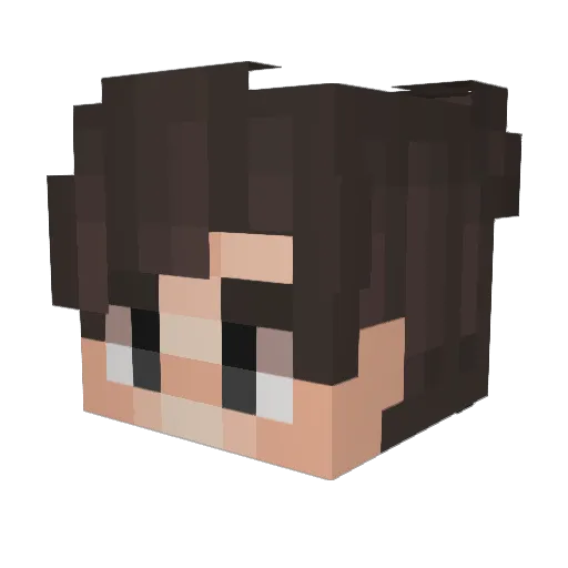 Regenerations Minecraft avatar head, 3D render