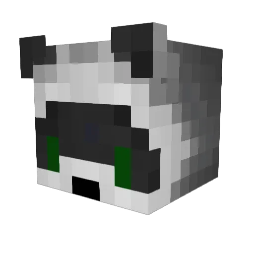 RegentSubset Minecraft avatar head, 3D render