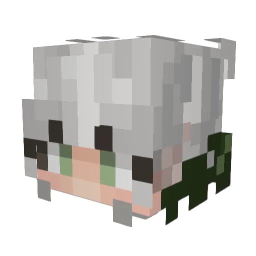 RegentalBanjo95 Minecraft avatar head, 3D render