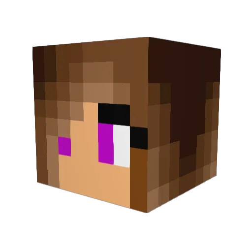 Reger_5 Minecraft avatar head, 3D render