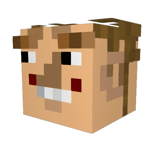Regeurbum11 Minecraft avatar head, 3D render