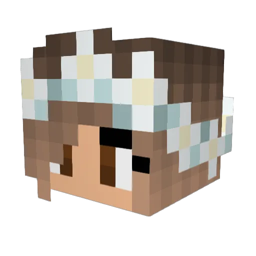 ReggeaCat Minecraft avatar head, 3D render