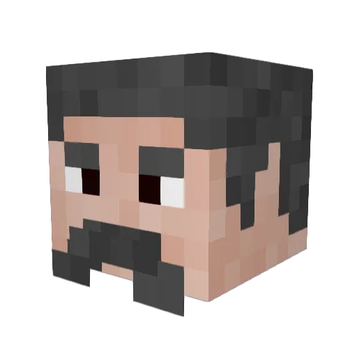 ReginaldOatmeal Minecraft avatar head, 3D render