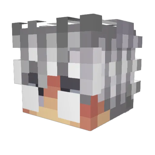 Reginaldo2812 Minecraft avatar head, 3D render