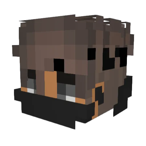 Reginsrolll Minecraft avatar head, 3D render