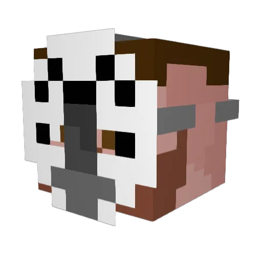 Reginter Minecraft avatar head, 3D render