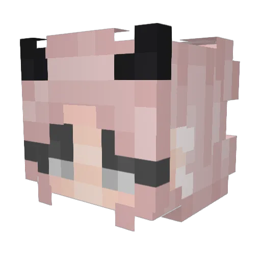 Reginuh Minecraft avatar head, 3D render