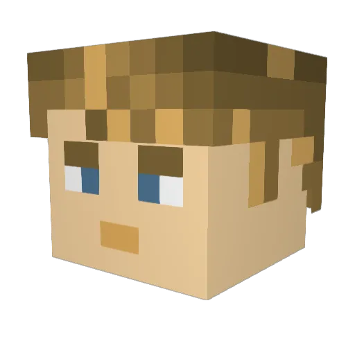 Regiorus Minecraft avatar head, 3D render