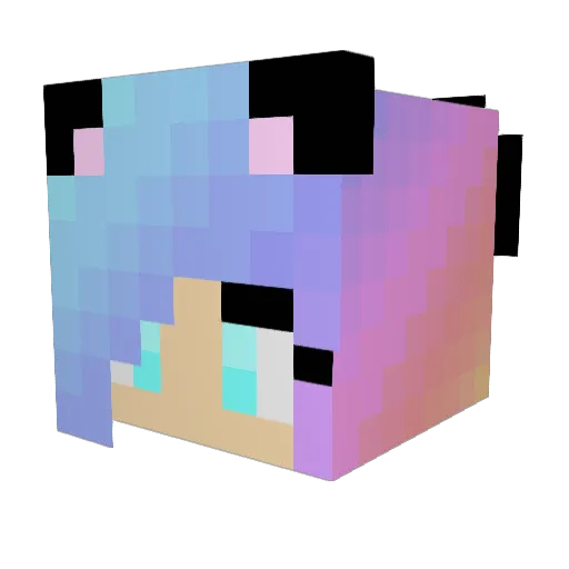 Regis2468 Minecraft avatar head, 3D render