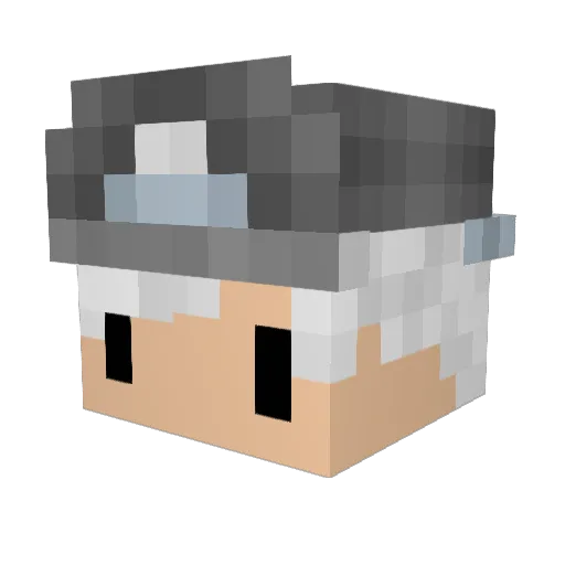 RegisJunior17ANU Minecraft avatar head, 3D render