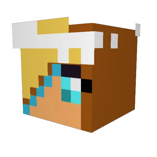 RegrettableDeed Minecraft avatar head, 3D render