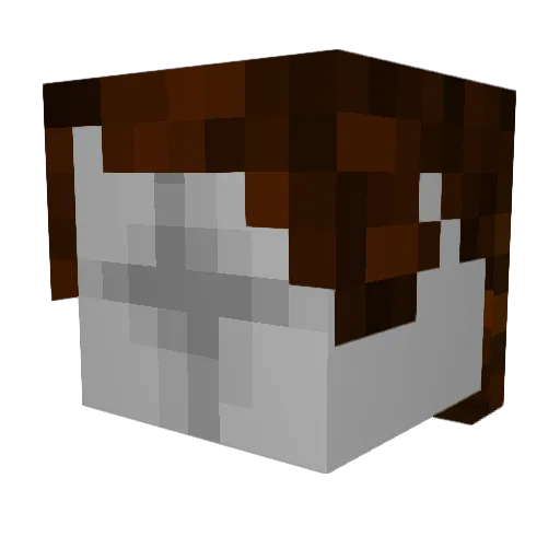Regretzeno Minecraft avatar head, 3D render