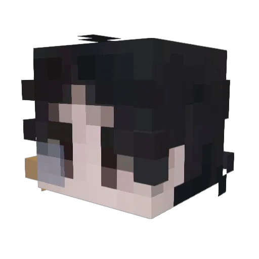 Regtaka Minecraft avatar head, 3D render