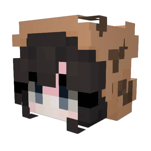 Regular302 Minecraft avatar head, 3D render