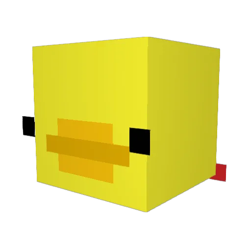 RegularDuck1 Minecraft avatar head, 3D render