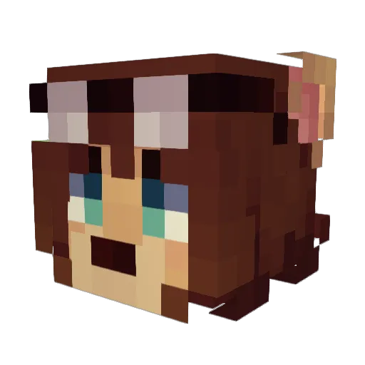 RegularJess Minecraft avatar head, 3D render