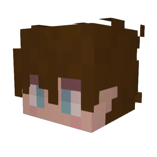 RegularShrimp Minecraft avatar head, 3D render