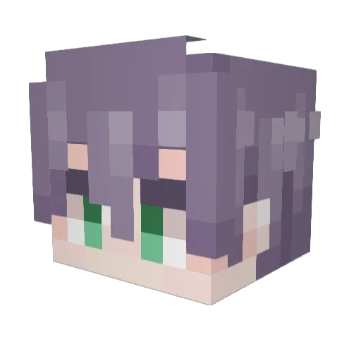 Regulus003 Minecraft avatar head, 3D render
