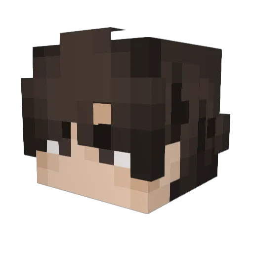 Regulus610 Minecraft avatar head, 3D render