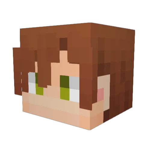 RegulusOWO Minecraft avatar head, 3D render