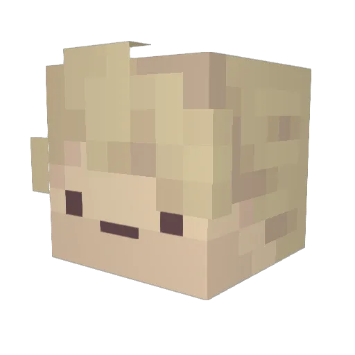 RehabHD Minecraft avatar head, 3D render