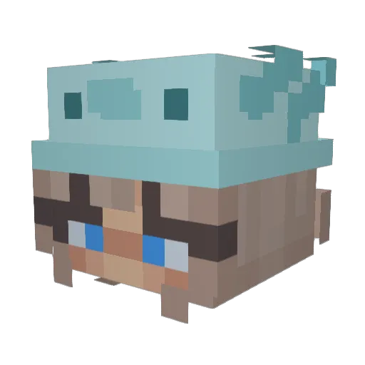 Rehabnation Minecraft avatar head, 3D render