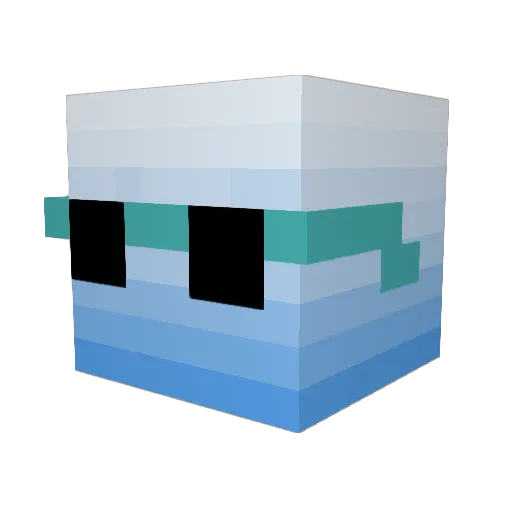 Rehabot Minecraft avatar head, 3D render
