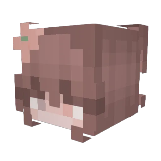 Rehchen2010 Minecraft avatar head, 3D render