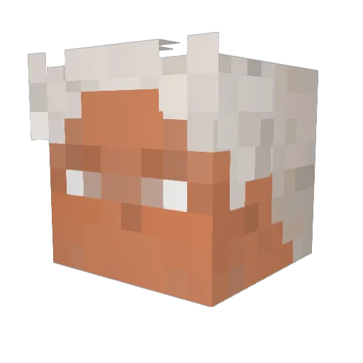 RehcrA_ Minecraft avatar head, 3D render