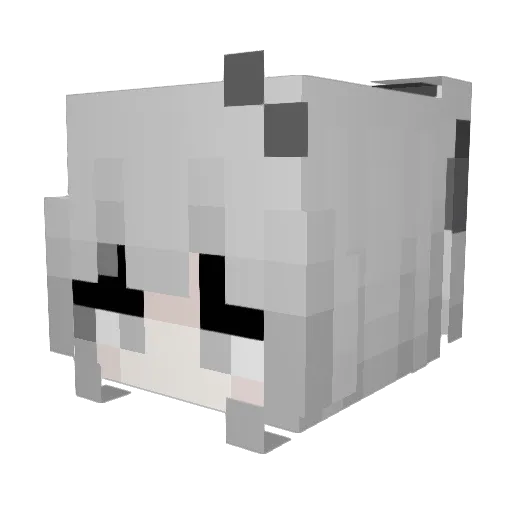 Rehmily Minecraft avatar head, 3D render