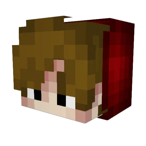 Rehy00 Minecraft avatar head, 3D render
