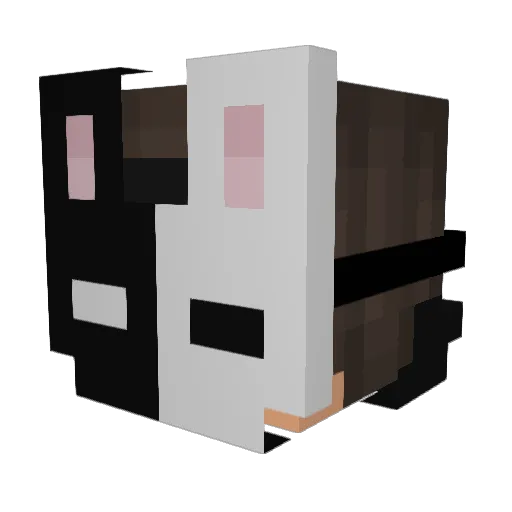 Rei0329777 Minecraft avatar head, 3D render