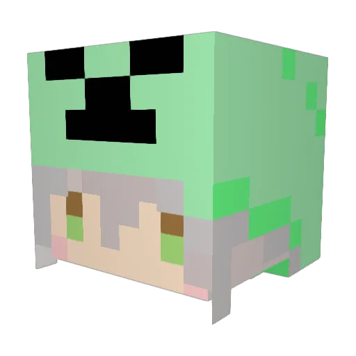 Rei439 Minecraft avatar head, 3D render