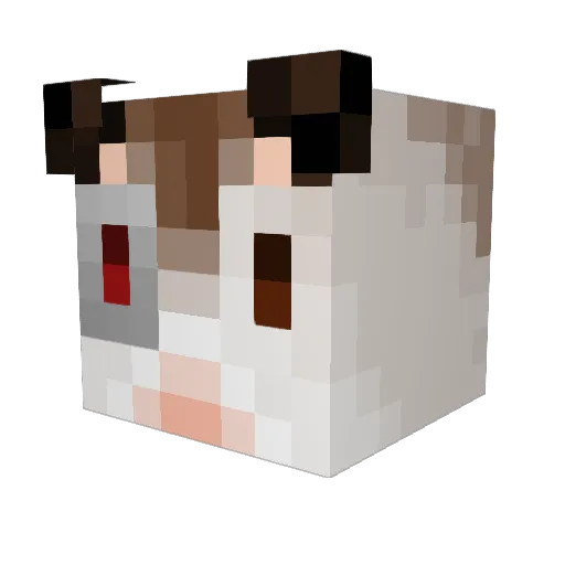 ReiLixo Minecraft avatar head, 3D render