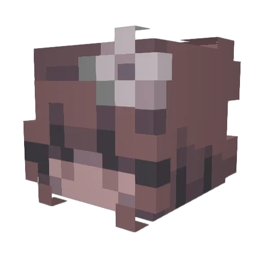 Minecraft-Avatar von ReiSoul: Kopf als 3D-Render