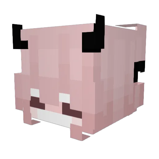 ReiYa3314 Minecraft avatar head, 3D render