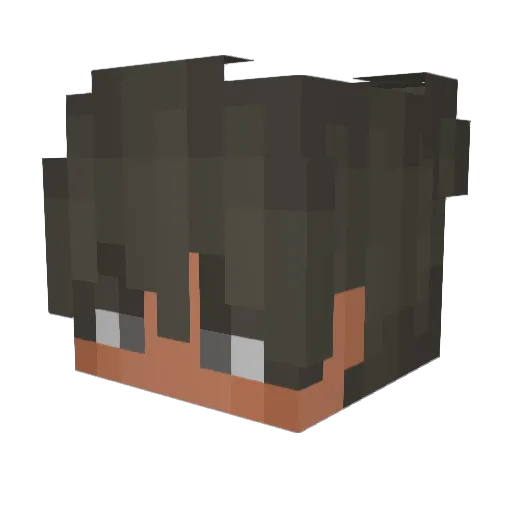 Rei_104 Minecraft avatar head, 3D render