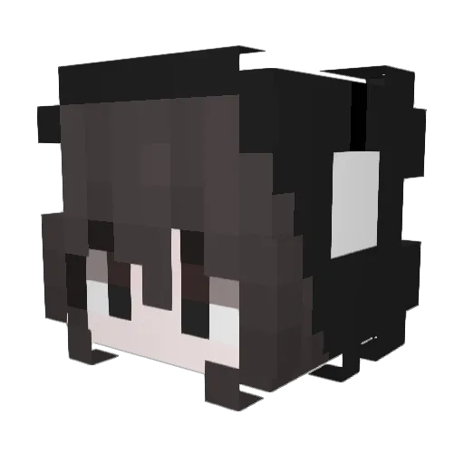 Rei_nai Minecraft avatar head, 3D render