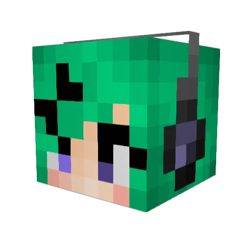 Reiann Minecraft avatar head, 3D render